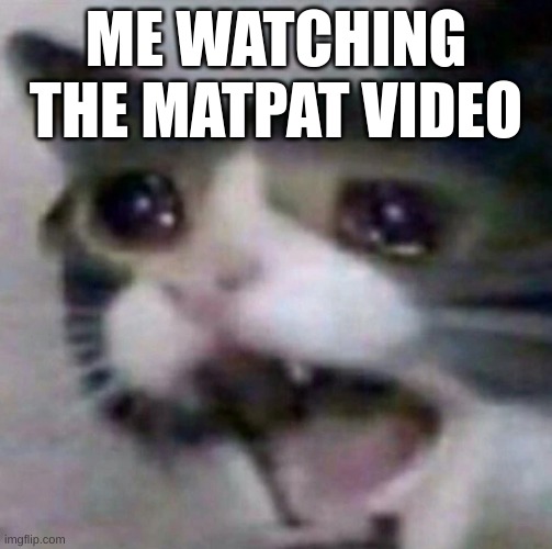 waaaa | ME WATCHING THE MATPAT VIDEO | image tagged in waaaaaaa,waaaaaaaaaa | made w/ Imgflip meme maker