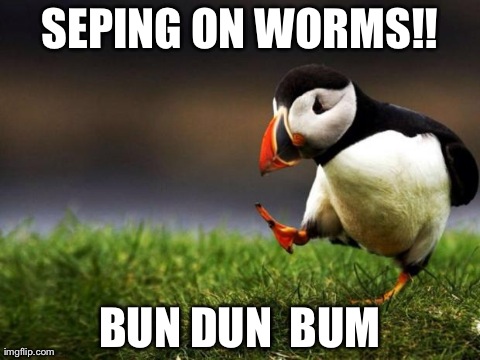 Unpopular guidance Puffin