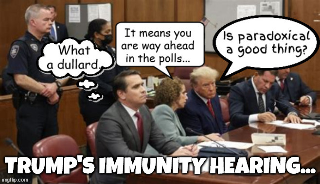 Trump's Immunity Hearing | image tagged in donald trump,immunity hearing,trump in court,dullard,maga,jail time | made w/ Imgflip meme maker