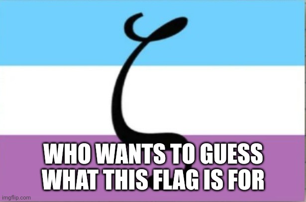 Lol | WHO WANTS TO GUESS WHAT THIS FLAG IS FOR | made w/ Imgflip meme maker