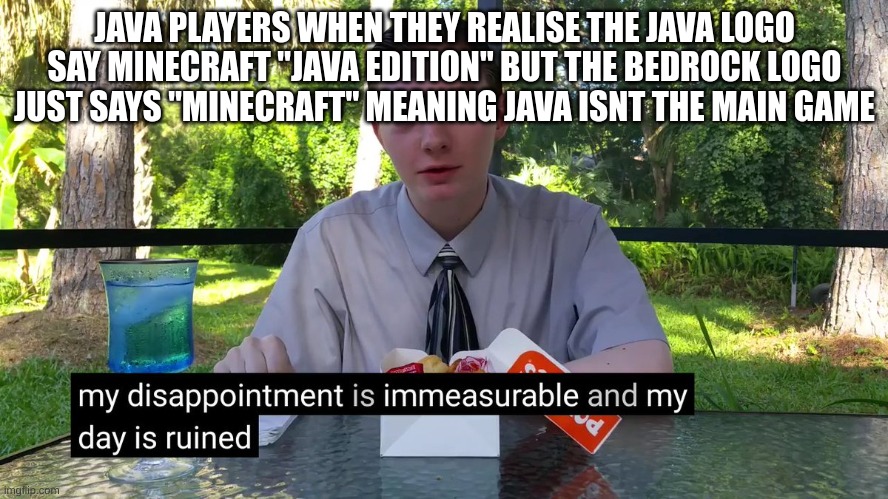 My Disappointment Is Immeasurable | JAVA PLAYERS WHEN THEY REALISE THE JAVA LOGO SAY MINECRAFT "JAVA EDITION" BUT THE BEDROCK LOGO JUST SAYS "MINECRAFT" MEANING JAVA ISNT THE MAIN GAME | image tagged in my disappointment is immeasurable | made w/ Imgflip meme maker