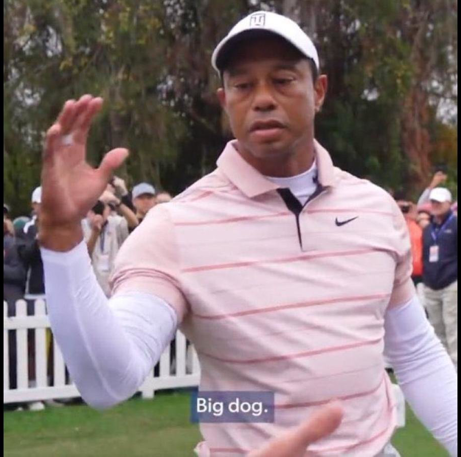 Big Dog Tiger Blank Meme Template