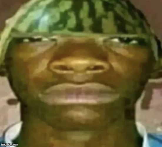 shitpost | image tagged in watermelon hat,shitpost | made w/ Imgflip meme maker