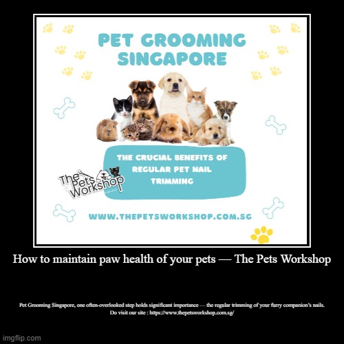 How to maintain paw health of your pets — The Pets Workshop | Pet Grooming Singapore, one often-overlooked step holds significant importance | image tagged in funny,demotivationals | made w/ Imgflip demotivational maker