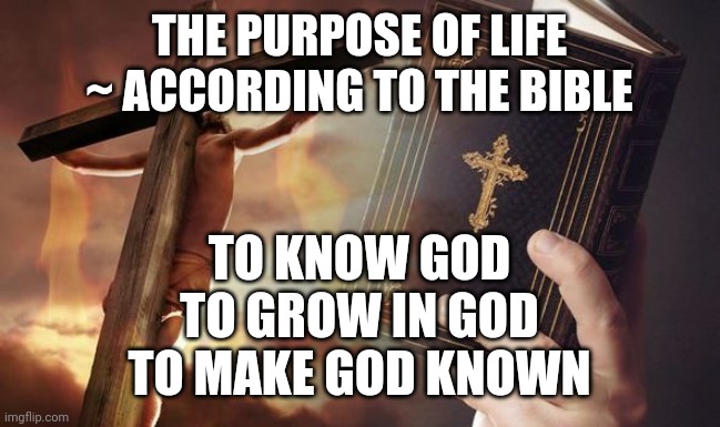 Jesus Cross Bible | THE PURPOSE OF LIFE
~ ACCORDING TO THE BIBLE; TO KNOW GOD
TO GROW IN GOD
TO MAKE GOD KNOWN | image tagged in jesus cross bible | made w/ Imgflip meme maker