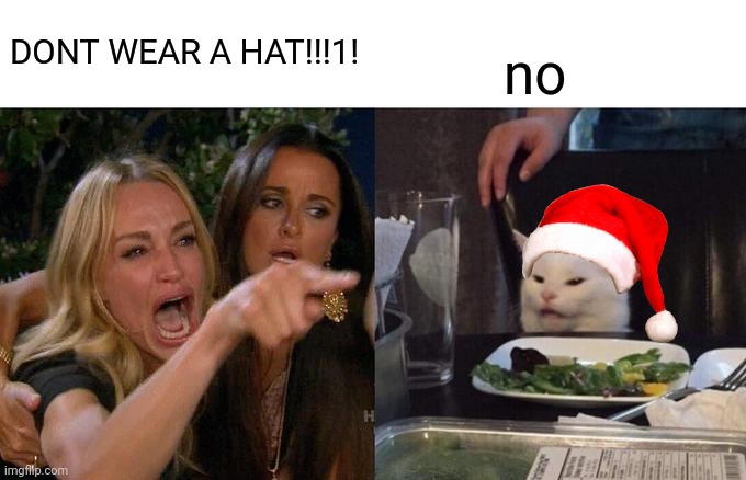 Putting Christmas hats on things #1 | DONT WEAR A HAT!!!1! no | image tagged in memes,woman yelling at cat | made w/ Imgflip meme maker
