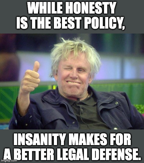 Good advice | WHILE HONESTY IS THE BEST POLICY, INSANITY MAKES FOR A BETTER LEGAL DEFENSE. | image tagged in gary busey | made w/ Imgflip meme maker