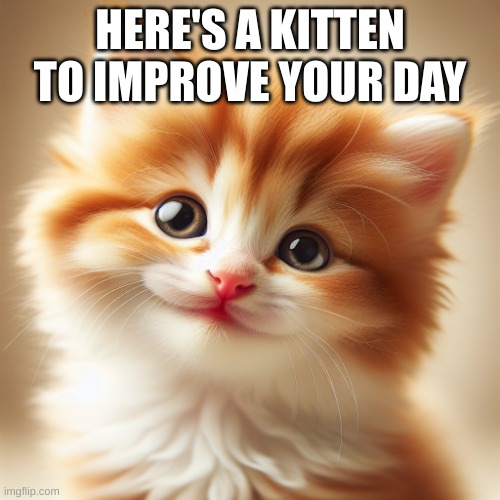 Here's a kitten to cheer you up | HERE'S A KITTEN TO IMPROVE YOUR DAY | image tagged in cute kitten smiling | made w/ Imgflip meme maker
