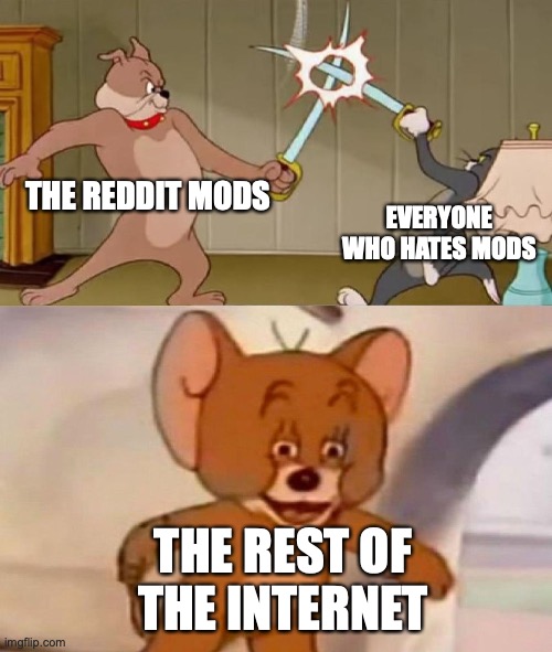 reddit mods and everyone who hates mods | THE REDDIT MODS; EVERYONE WHO HATES MODS; THE REST OF THE INTERNET | image tagged in tom and jerry swordfight | made w/ Imgflip meme maker