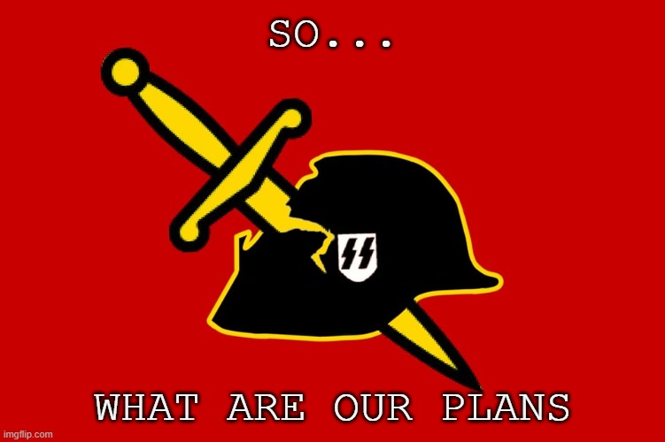 Anti-Waffen SS Flag | SO... WHAT ARE OUR PLANS | image tagged in anti-waffen ss flag | made w/ Imgflip meme maker