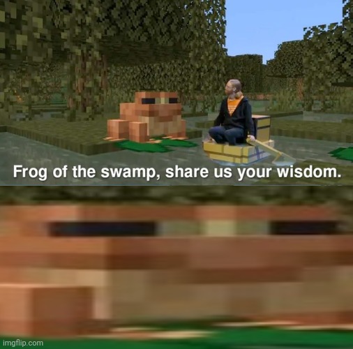 Yes | image tagged in frog of the swamp share us your wisdom | made w/ Imgflip meme maker