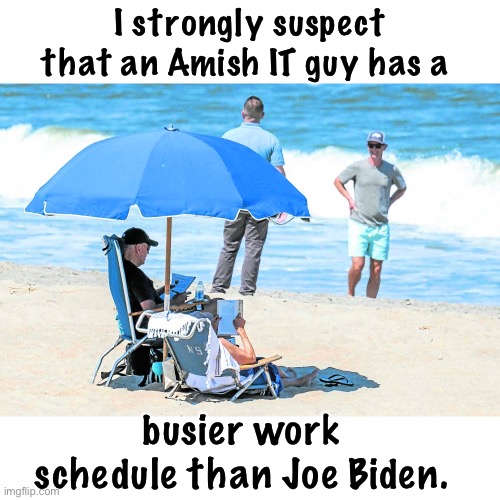 Biden on the job? | I strongly suspect that an Amish IT guy has a; busier work schedule than Joe Biden. | image tagged in biden | made w/ Imgflip meme maker
