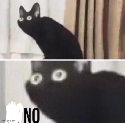 Oh no cat | image tagged in oh no cat | made w/ Imgflip meme maker