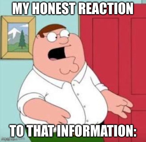 MY HONEST REACTION TO THAT INFORMATION: | made w/ Imgflip meme maker