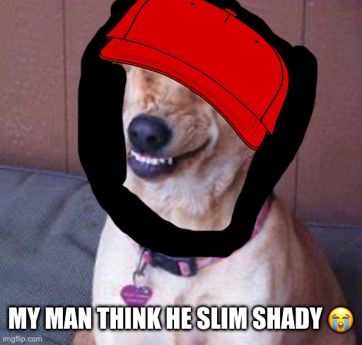 My man think he slim | MY MAN THINK HE SLIM SHADY 😭 | image tagged in funny dog | made w/ Imgflip meme maker