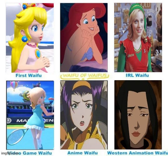 waifu chart meme | image tagged in waifus by type,waifu,princess,elf,anime,female logic | made w/ Imgflip meme maker