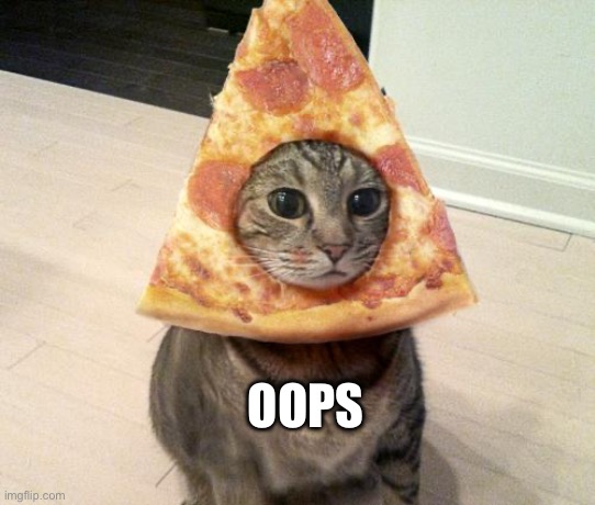 pizza cat | OOPS | image tagged in pizza cat | made w/ Imgflip meme maker