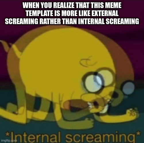 not very internal | WHEN YOU REALIZE THAT THIS MEME TEMPLATE IS MORE LIKE EXTERNAL SCREAMING RATHER THAN INTERNAL SCREAMING | image tagged in jake the dog internal screaming | made w/ Imgflip meme maker