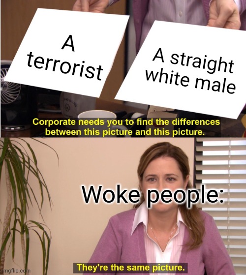 They're The Same Picture Meme | A terrorist; A straight white male; Woke people: | image tagged in memes,they're the same picture | made w/ Imgflip meme maker