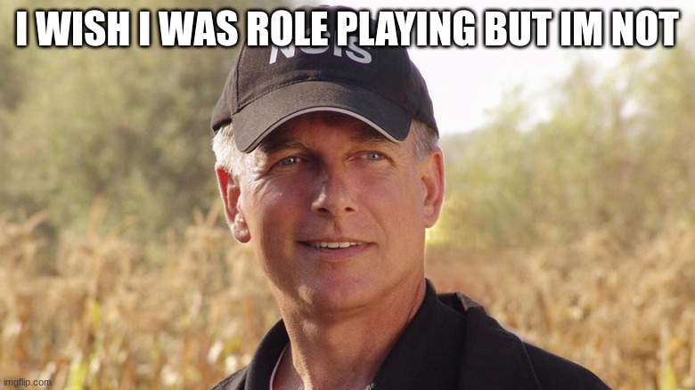 gibbs NCIS | I WISH I WAS ROLE PLAYING BUT IM NOT | image tagged in gibbs ncis | made w/ Imgflip meme maker