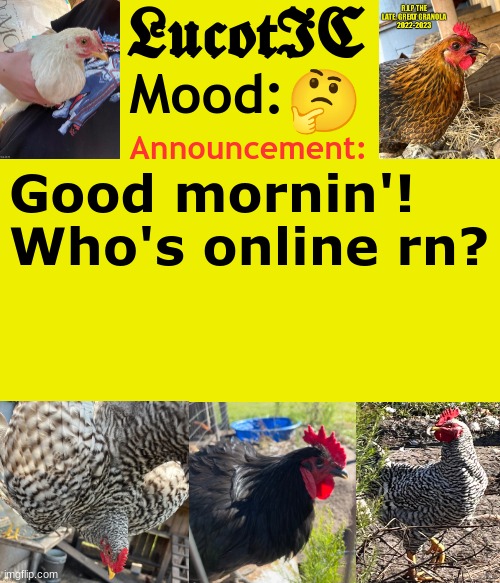 . | 🤔; Good mornin'! Who's online rn? | image tagged in lucotic's chicken announcement template | made w/ Imgflip meme maker