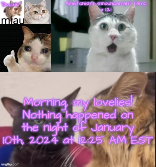 AmeTonian's announcement Temp v 1.2.1 | Morning, my lovelies!
Nothing happened on the night of January 10th, 2024 at 12:25 AM EST | image tagged in ametonian's announcement temp v 1 2 1 | made w/ Imgflip meme maker