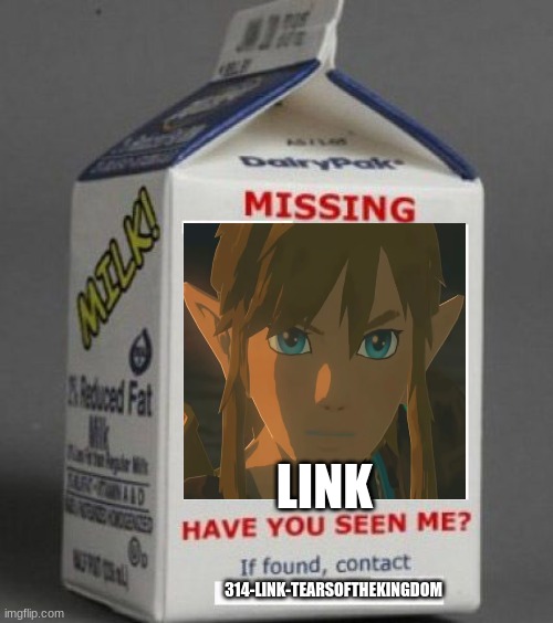 Milk carton | LINK; 314-LINK-TEARSOFTHEKINGDOM | image tagged in milk carton | made w/ Imgflip meme maker