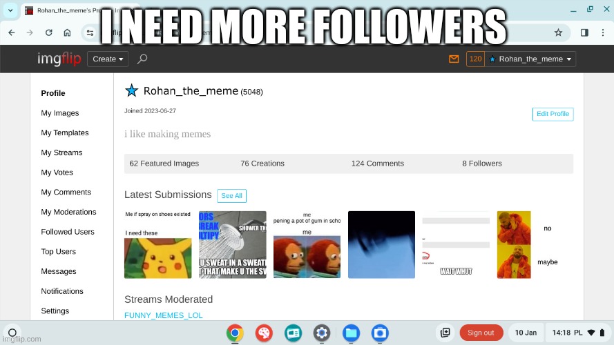 I NEED MORE FOLLOWERS | image tagged in memes | made w/ Imgflip meme maker