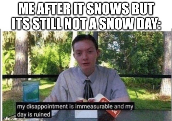 real | ME AFTER IT SNOWS BUT ITS STILL NOT A SNOW DAY: | image tagged in my dissapointment is immeasurable and my day is ruined | made w/ Imgflip meme maker