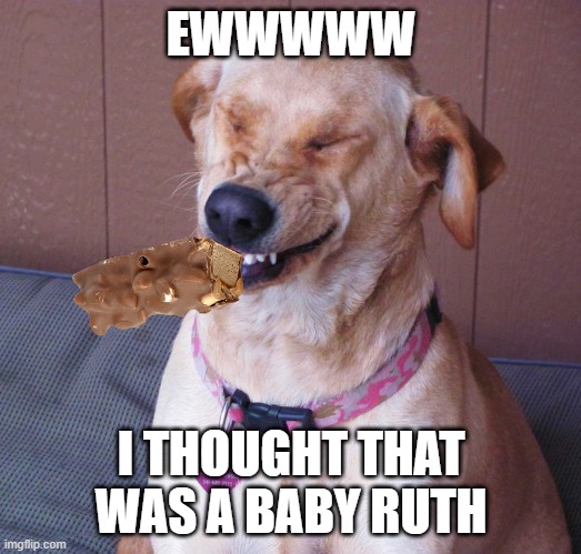 laughing dog | EWWWWW I THOUGHT THAT WAS A BABY RUTH | image tagged in laughing dog | made w/ Imgflip meme maker