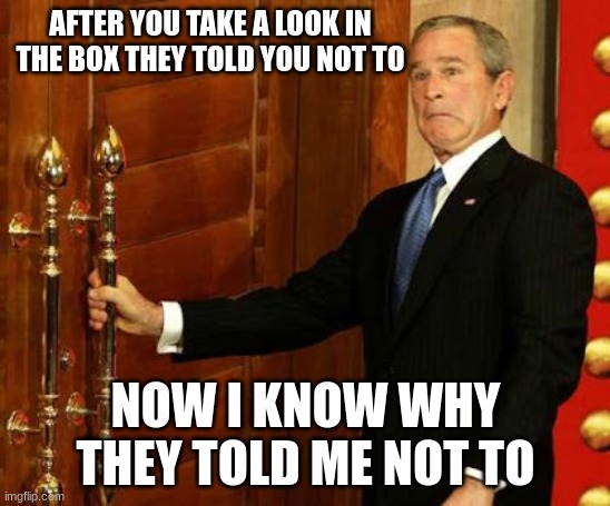 The Look On Your Face | AFTER YOU TAKE A LOOK IN THE BOX THEY TOLD YOU NOT TO; NOW I KNOW WHY THEY TOLD ME NOT TO | image tagged in the look on your face | made w/ Imgflip meme maker