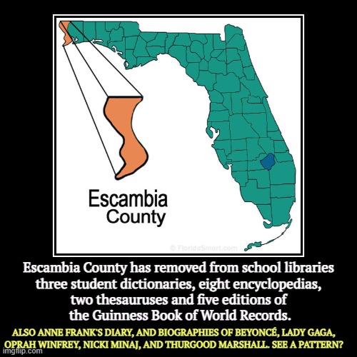 MAGA's aggressive stupidity is world famous, and not in a good way. | Escambia County has removed from school libraries 
three student dictionaries, eight encyclopedias, 

two thesauruses and five editions of 
 | image tagged in funny,demotivationals,maga,book banning,book burning,idiocy | made w/ Imgflip demotivational maker