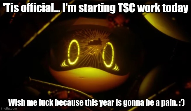 Wish me luck, TSC is now in progress. | 'Tis official... I'm starting TSC work today; Wish me luck because this year is gonna be a pain. :') | image tagged in tsc work,starting now,ask me questions on discord | made w/ Imgflip meme maker