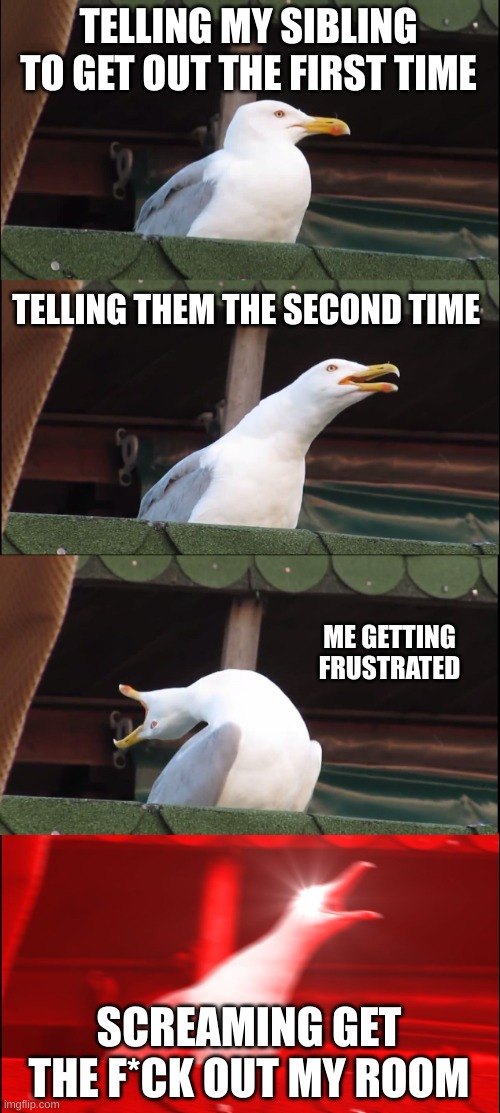 frustrating siblings you can relate to | TELLING MY SIBLING TO GET OUT THE FIRST TIME; TELLING THEM THE SECOND TIME; ME GETTING FRUSTRATED; SCREAMING GET THE F*CK OUT MY ROOM | image tagged in memes,inhaling seagull | made w/ Imgflip meme maker