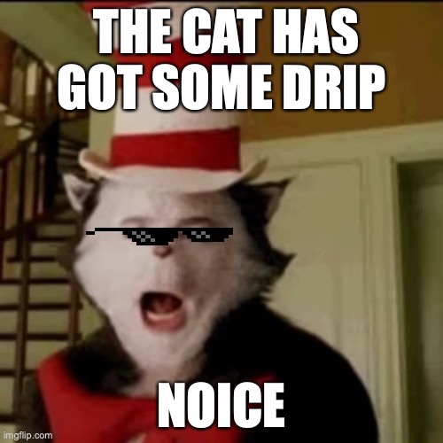 cat in the drip | THE CAT HAS GOT SOME DRIP; NOICE | image tagged in cat in the hat | made w/ Imgflip meme maker