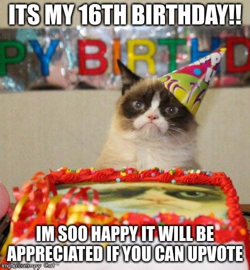 im so happy | ITS MY 16TH BIRTHDAY!! IM SOO HAPPY IT WILL BE APPRECIATED IF YOU CAN UPVOTE | image tagged in fun,its my birthday,happy | made w/ Imgflip meme maker