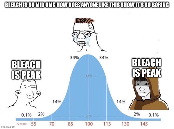 Nuanced writing going over people’s heads | BLEACH IS SO MID OMG HOW DOES ANYONE LIKE THIS SHOW IT’S SO BORING; BLEACH IS PEAK; BLEACH IS PEAK | image tagged in bell curve | made w/ Imgflip meme maker