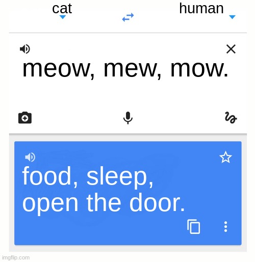 Google Translate | cat; human; meow, mew, mow. food, sleep, open the door. | image tagged in google translate | made w/ Imgflip meme maker