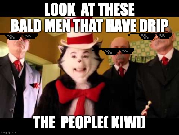 thanks for the 3 upvotes and views( cat in the drip part 2) | LOOK  AT THESE BALD MEN THAT HAVE DRIP; THE  PEOPLE( KIWI) | image tagged in cat in the hat | made w/ Imgflip meme maker