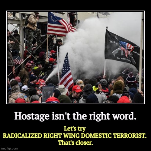 Hostage isn't the right word. | Let's try 
RADICALIZED RIGHT WING DOMESTIC TERRORIST. 
That's closer. | image tagged in funny,demotivationals,capitol riot,insurrection,coup,hostage | made w/ Imgflip demotivational maker