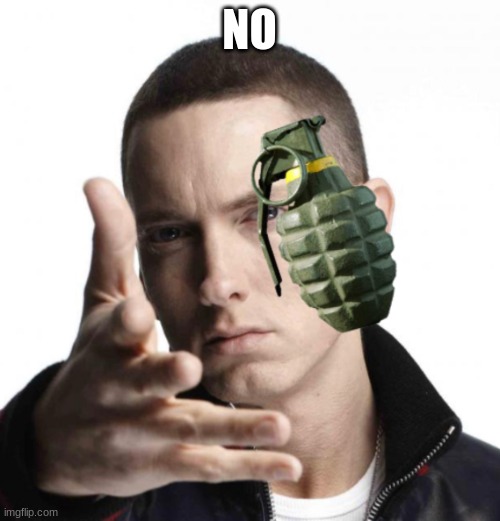 Eminem throwing grenade | NO | image tagged in eminem throwing grenade | made w/ Imgflip meme maker