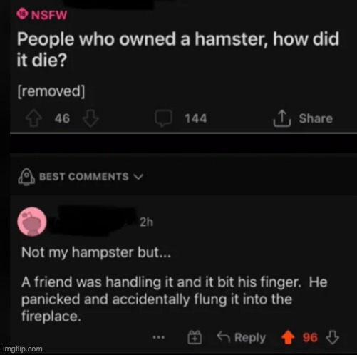 cursed hamster story | image tagged in memes,reddit | made w/ Imgflip meme maker