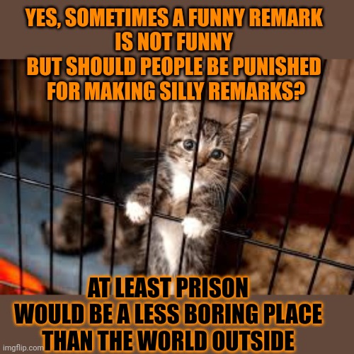 This #lolcat wonders if people should be punished for saying stupid things | YES, SOMETIMES A FUNNY REMARK 
IS NOT FUNNY 
BUT SHOULD PEOPLE BE PUNISHED 
FOR MAKING SILLY REMARKS? AT LEAST PRISON 
WOULD BE A LESS BORING PLACE 
THAN THE WORLD OUTSIDE | image tagged in humor,humour,lolcat,funny,freedom of speech,think about it | made w/ Imgflip meme maker