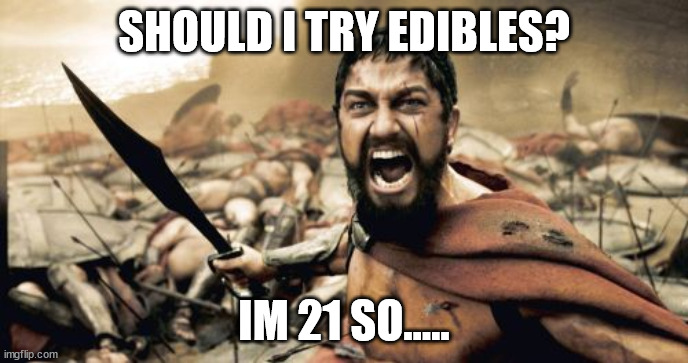 Sparta Leonidas | SHOULD I TRY EDIBLES? IM 21 SO..... | image tagged in memes,sparta leonidas | made w/ Imgflip meme maker