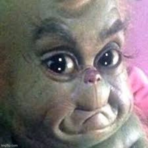 Baby Grinch | image tagged in baby grinch | made w/ Imgflip meme maker
