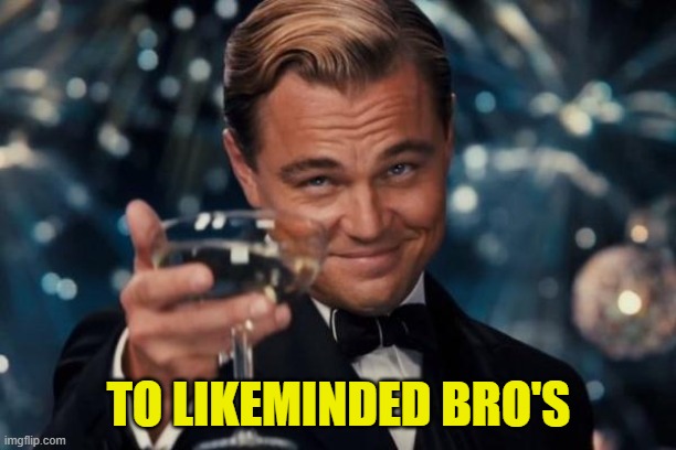 Leonardo Dicaprio Cheers Meme | TO LIKEMINDED BRO'S | image tagged in memes,leonardo dicaprio cheers | made w/ Imgflip meme maker
