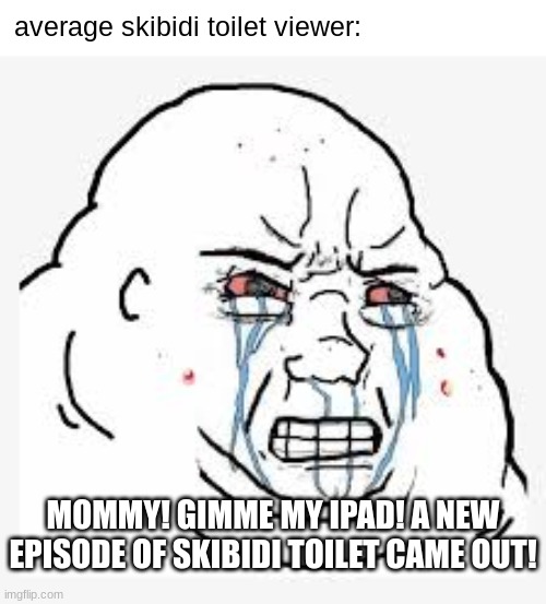 average skibidi toilet viewer | average skibidi toilet viewer:; MOMMY! GIMME MY IPAD! A NEW EPISODE OF SKIBIDI TOILET CAME OUT! | image tagged in angry discord mod | made w/ Imgflip meme maker