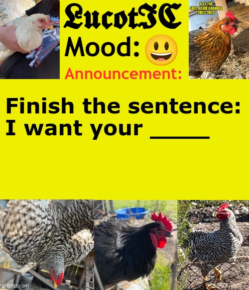 . | 😃; Finish the sentence:
I want your ____ | image tagged in lucotic's chicken announcement template | made w/ Imgflip meme maker