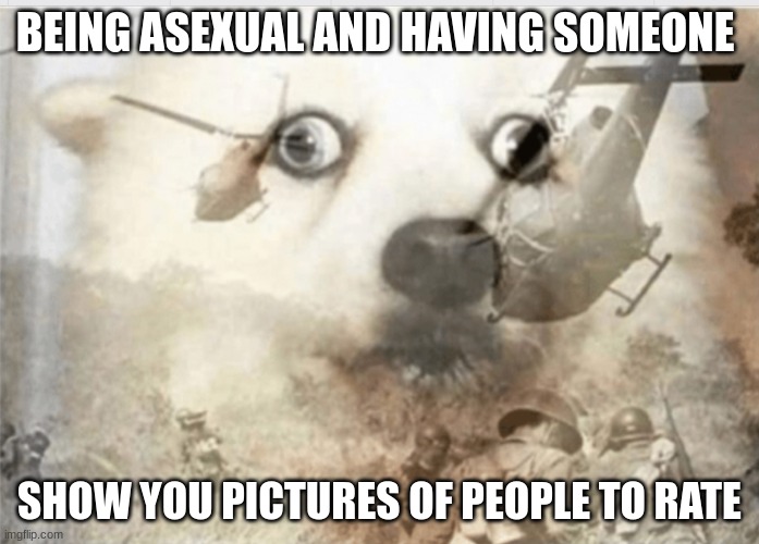ugg | BEING ASEXUAL AND HAVING SOMEONE; SHOW YOU PICTURES OF PEOPLE TO RATE | image tagged in ptsd dog | made w/ Imgflip meme maker