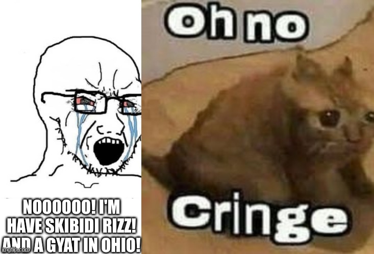 cringe | NOOOOOO! I'M HAVE SKIBIDI RIZZ! AND A GYAT IN OHIO! | image tagged in soyboy vs yes chad | made w/ Imgflip meme maker